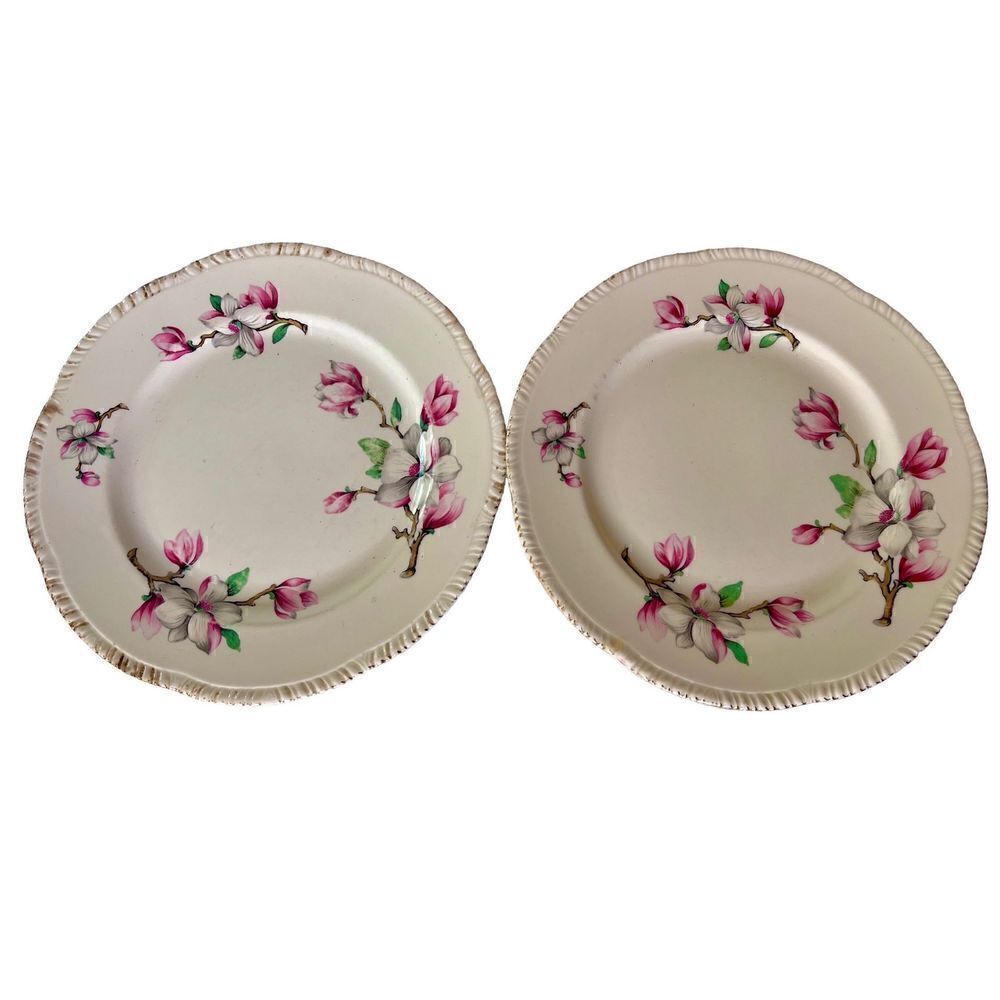 2 Vintage HOMER LAUGHLIN Dogwood Liberty Shape Plate Gold Trim -See Details